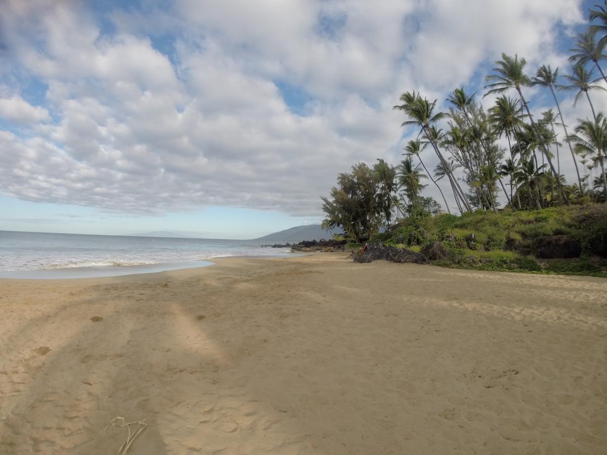 Maui-Licious By The Beach Кихей Экстерьер фото